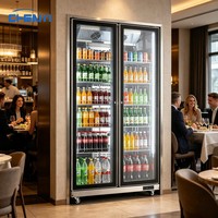 Réfrigérateurs mécaniques Sub Zero, vitrine de présentation de boissons, réfrigérateur à vin et à bière en libre-service pour usage commercial