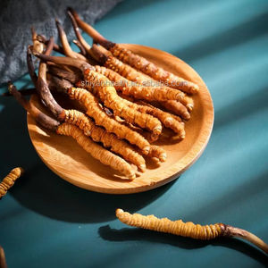 Preço de Atacado <span class=keywords><strong>Cordyceps</strong></span> Natural Flor de <span class=keywords><strong>Cordyceps</strong></span> Cultivada <span class=keywords><strong>Cordyceps</strong></span> Militaris Cru - Product Image 1