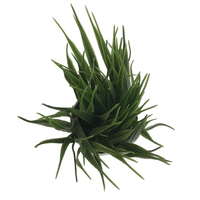 Nouvelle arrivée, petite plante artificielle réaliste, herbe verte artificielle en pot, décoration de bureau et de maison, matériau plastique, utilisation en extérieur