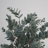 Feuillage artificiel de style nordique inspiré d'Instagram, en PVC, grappes de feuilles d'eucalyptus grises, pour intérieur/extérieur, salon, table à manger