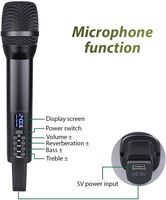 Micrófono Dinámico Portátil UHF con Conector Tipo C, Recargable, Inalámbrico, con Cancelación de Ruido, Efecto Eco, Karaoke, Metálico, Bajo Precio