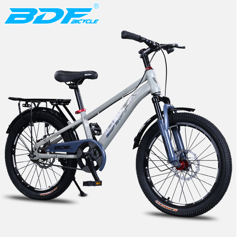 BDF-SDYJ plata