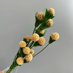 <span class=keywords><strong>Bouquet</strong></span> de boules de gomme douce séchées naturelles pour mariage bohème, douche nuptiale, arrangement floral, <span class=keywords><strong>d</strong></span>écoration <span class=keywords><strong>d</strong></span>'événements - Product Image 3