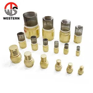 Good Price Forged Body Brass Check Valve Spring Vertical Foot Valves For Pump