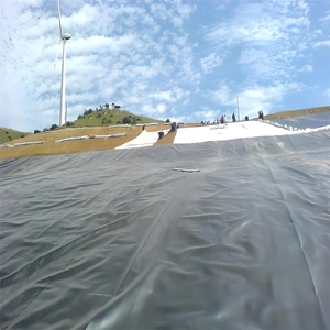 Bâche <span class=keywords><strong>de</strong></span> <span class=keywords><strong>bassin</strong></span> pour poissons 0,75 mm en PEHD, géomembrane barrière anti-racines <span class=keywords><strong>de</strong></span> bambou, 45 mil 60 mil, imperméable, pour l'aménagement des fermes d'algues - Product Image 1