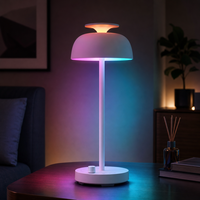 Haut-parleur diffuseur de sons apaisants avec 10 sons blancs intégrés, 5 niveaux de volume, minuteur 30/60/90 min, rechargeable par USB, à poser sur table