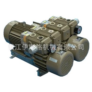 Pompe à vide industrielle sans huile Isge Wzb-P-B 22 m³/h 100 000 Pa en fonte et acier inoxydable - Product Image 3