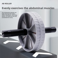 Rouleau abdominal à une roue pour usage domestique, marque propre, gris, 180G