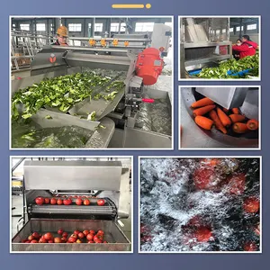 Obst-und Gemüse verarbeitung Voll automatisches Gemüse Obsts ortierung Schneiden Waschen Trocknen Verarbeitung von Gemüse wasch linie