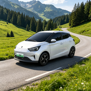 Nouvelle Voiture Électrique Compacte Dongfeng Forthing X2 2026, 5 Portes, 4 Places, Véhicule Électrique EV, <span class=keywords><strong>Prix</strong></span> Abordable, Voiture à Énergie Nouvelle - Product Image 2