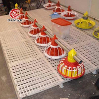 Mangeoire automatique personnalisée pour poulets avec système de distribution par plateau et construction en plastique pour poulets de chair et reproducteurs