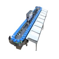 Commerciële fruit- en groentesorteermachine 1,1 kW duurzame kracht voor stabiele productie in diepvriesfabrieken