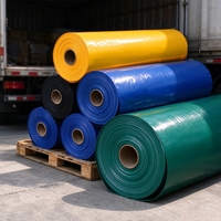 Rouleau de bâche en PE imperméable pour entrepôt, épaisse, résistante à l'usure, pliable, pour la protection des marchandises