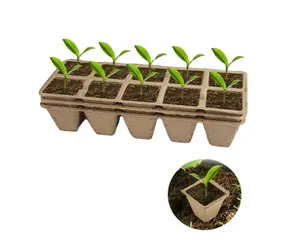 2024 OEM ODM Paper Pulp Seeding Tray Tray For Planting seeds Corn Seed Planter