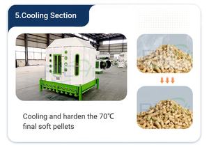 RICHI anahtar teslimi proje ahşap pelet üretim hattı özelleştirilmiş ahşap pelet fabrikası - Product Image 6