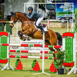 Aochi Factory Horse Horse Jumping portatile in alluminio stand equestre Racing Training Horse Show Jump Wing - Product Image 5