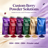 SYC BIO Power Berries & Seeds Blend, soutien immunitaire naturel, smoothie pour adultes, formule nutritive, 150 g, 30 portions