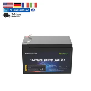 12V 12Ah LiFePO4 Battery 12 volt Rechargeable Lithium Iron Phosphate Battery with low-temperature cut-off bms