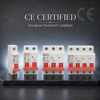 MCB Circuit Breaker 6A 10A 16A 20A 25A 32A 40A 50A 63A DIN Rail Mount AC Breaker.