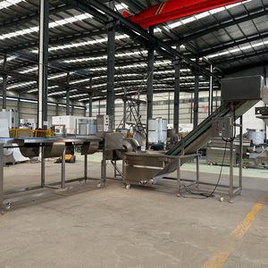 Conveyor Belt Industrial Fryer Complete Frying <b>Equipment</b> for Meat Products Pasta and Fruit Vegetable Crisps - Product Image 1