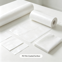 Draps de lit jetables non tissés, imperméables et anti-huile pour instituts de beauté