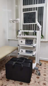 Sistema de Cámara de Endoscopia Quirúrgica HD AQ-100, Torre de Laparoscopia para Cirugía <span class=keywords><strong>Veterinaria</strong></span> con Endoscopio, Escáner de Ultrasonido para Embarazo - Product Image 2