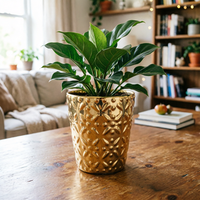 Set 3 Pot Bunga Keramik Mewah Berlapis Emas Berkilau untuk Dekorasi Ruang Tamu Modern di Rumah