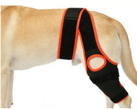 Nouvel Arrivage – Manchon de Compression Respirant et Élastique pour Chiens, Soutien Ajustable pour la Récupération des Blessures et les Luxations Articulaires