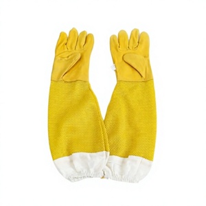 Gants de sécurité en coton jaune avec manchette élastique, respirants, antidérapants, entièrement texturés, usage général, 25,5 cm - Product Image 1