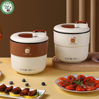 Fabricant professionnel d'appareils de cuisine multifonctionnels Mini cuiseur à riz antiadhésif Pot électrique