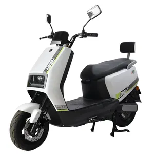 Good Performance Competitive Price Low Failure Rate 800w Electric Motorcycle Moped