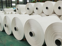 CaCO3 + PE-máquina para hacer papel de piedra, línea de producción de papel de piedra, papel tapiz/notebook