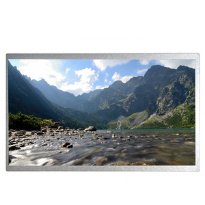 G101STN01.A หน้าจอแสดงผล TFT LCD ขนาด 10.1 นิ้ว 60Hz 1024*600 ประหยัดพลังงาน - Product Image 1