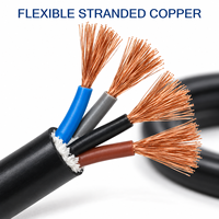 Kabel Tembaga Fleksibel RVV 4 Inti 300/500V Berisolasi dan Berlapis PVC, Kabel Kontrol Ukuran 4x1.5mm2 4x2.5mm2