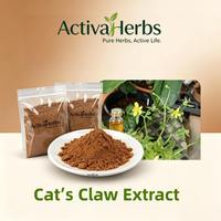 Poudre d'extrait naturel de griffe de chat (Ranunculus Ternatus) 1% 3% d'alcaloïdes pour le soutien de la santé immunitaire, en fût plastique