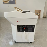Usine Lavage Tête Thérapie SPA Pas De Plomberie Portable Shampooing Bassin Évier Avec Réservoir D'eau Tête Spa Équipement Pour Salon De Beauté