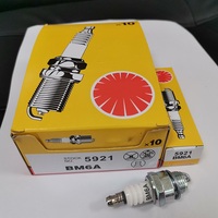 Prix de gros Platinum Spark Plug BM6A Nouveau 5921 Moteur Pièces de rechange pour essence Tondeuse à gazon Démarrage Système d'allumage Débroussailleuse