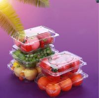 Food Grade Huisdier Wegwerp Plastic Clear Fruit Clamshell Box Container Verpakking Met Gaten