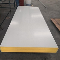 Panneau sandwich en PU 30mm 20/25/30mm XPS/Pf/phénolique/panneau de conduit d'air Pir