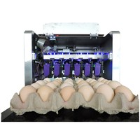 Impresora Automática de Inyección de Tinta para Huevos, Nueva, de Grado Alimenticio, con Pantalla Táctil Industrial, Tinta Solvente, Impresora TIJ, 1 Año de Garantía