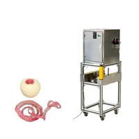 Commerciële automatische roestvrijstalen machine voor het schillen, ontpitten en snijden van appels, sinaasappels, perziken en kiwi's voor industrieel gebruik.
