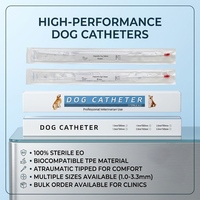 Cathéter urinaire stérile pour chien, le mieux noté, jetable, pour hôpital vétérinaire, fournisseur d'usine OEM