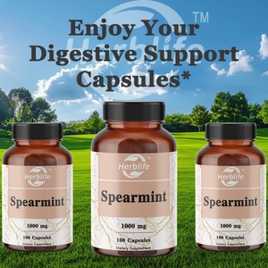 Vente chaude OEM - Personnalisable - Capsules de feuilles de menthe verte - 1000 mg de feuilles de menthe verte pour le nettoyage intestinal et le soutien digestif - Product Image 3