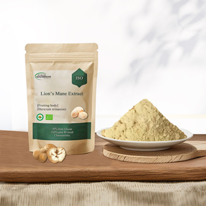 Estratto in Polvere di Fungo Criniera di Leone 30% Beta Glucano, Estratto di Hericium Erinaceus per Additivi Alimentari - Product Image 1