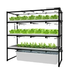 vertical farming racks fast fit hydro 1.2 meters 3 layers growing racks for mass lettuce production w / o grow trays grow lights