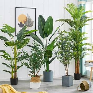 <span class=keywords><strong>Plantes</strong></span> vertes simulées Salon <span class=keywords><strong>haut</strong></span> <span class=keywords><strong>de</strong></span> <span class=keywords><strong>gamme</strong></span> Ornements <span class=keywords><strong>de</strong></span> fleurs <span class=keywords><strong>artificielles</strong></span> <span class=keywords><strong>Plantes</strong></span> en pot montées au sol - Product Image 4