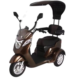 <span class=keywords><strong>Triciclo</strong></span> Eléctrico EVERBRIGHT de Tres Ruedas y Carrocería Abierta para Adultos, 60V, con Techo, para Personas Mayores o con Discapacidad - Product Image 4