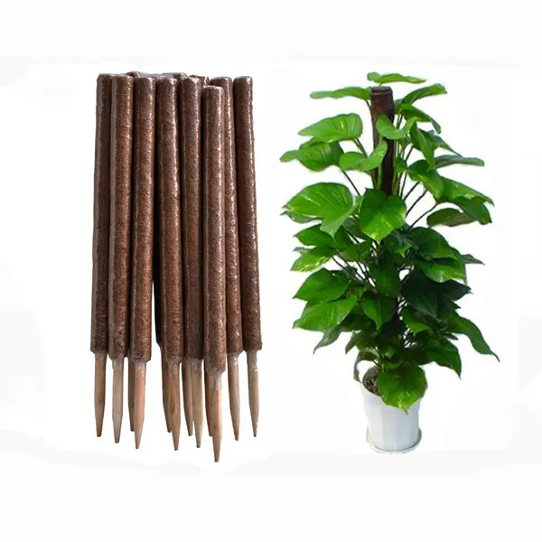 Tubo de plástico para decoração de plantas, tubo de plástico para uso externo