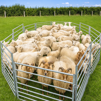 Panneaux de clôture pour bétail galvanisés à chaud, enclos portables pour animaux, portails de ferme en acier pour bovins, chevaux, moutons