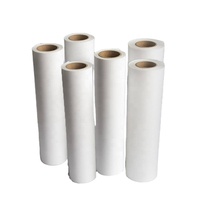 Vinyle de transfert de chaleur PU éco-solvant de qualité coréenne vinyle imprimable pour T-shirts